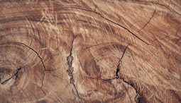 Entdecken Sie die Vorteile von Carports aus Holz