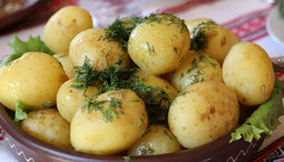 Welche innovativen Gerichte mit Kartoffeln kann man im Jahr 2022 probieren?