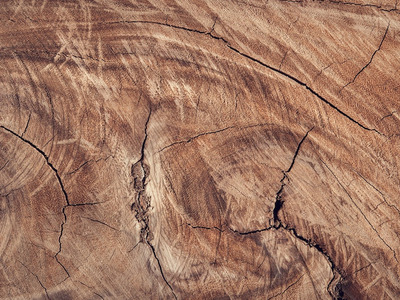 Entdecken Sie die Vorteile von Carports aus Holz