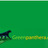 GreenPanthera