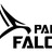 Pallid Falcon